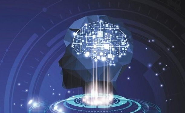 但现金流改善、业务结构优化与战略投入为未来发展奠定了基础