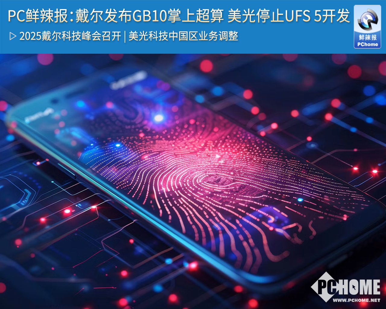 而稳定生态系统的慢生树种正在消失